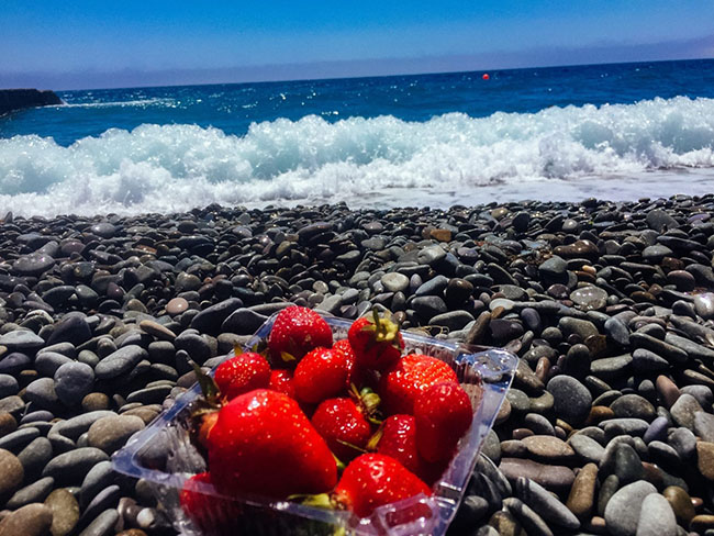 Фото с отдыха в Ялте летом отдых в Ялте в Крыму летом фото