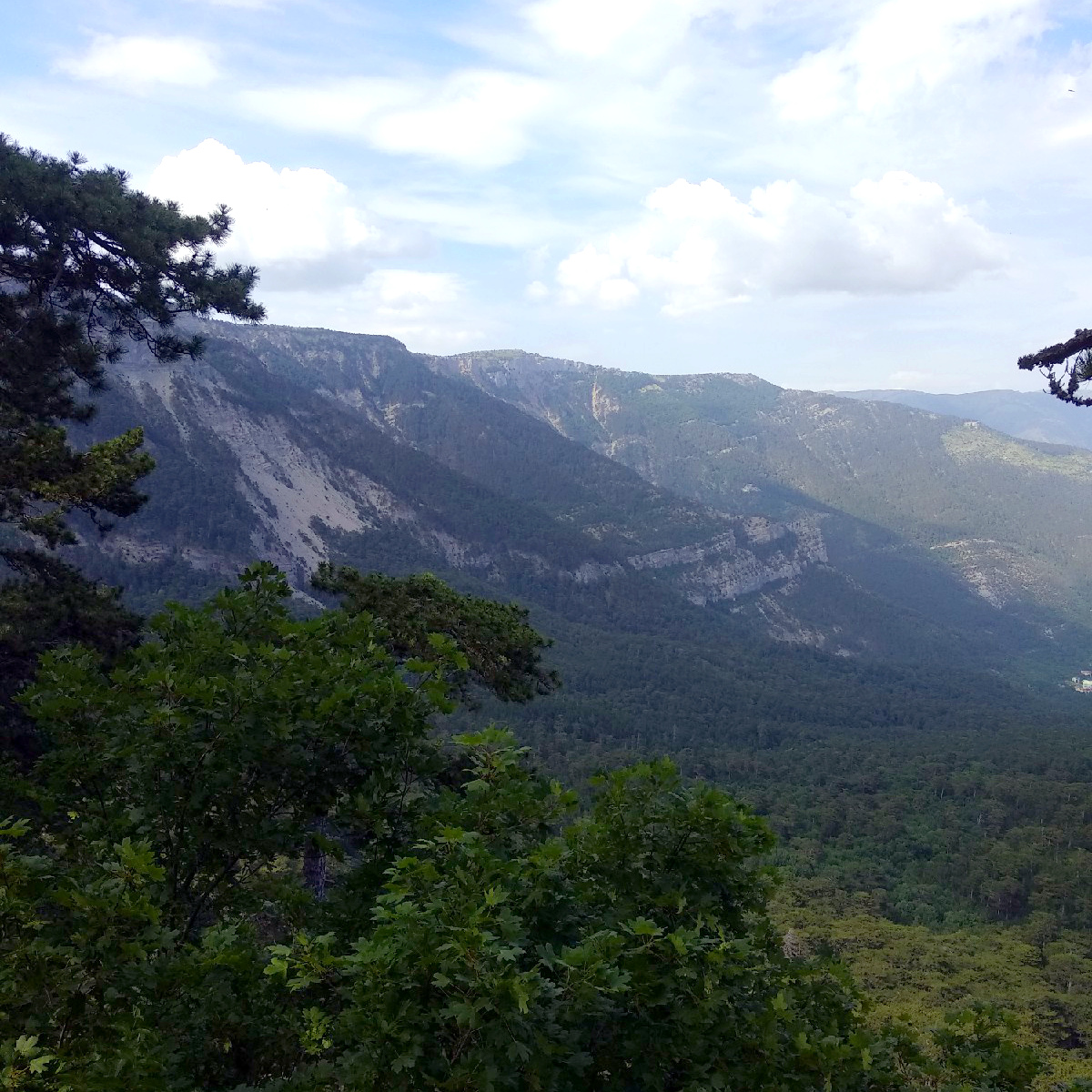 Канатная дорога в Крыму Мисхор фото